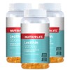 Nutra Life Lecithin 1200mg 240 Capsules / 뉴트라라이프 레시틴 1200mg 240 캡슐 X 3개, 1세트, 240정