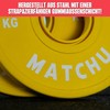 MATCHU - Fractional Plates - Mini Weight Plates - 0.25/0.5/1/1.5/2.5