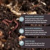 Worm Nerd Arcadia Garden Products WN08 Worm Grit for Vermiculture,