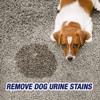 Resolve Urine Destroyer Pet Urine Stain and Odor Remover Spray,