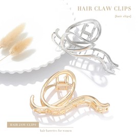 Runmi Hair Clips, 2 Pieces Large Metal Hair Clips for Thick and Thin Hair, Strong Hold, Hair Accessories for Women and Girls