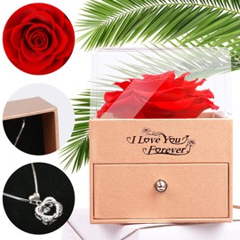 QYBHBCH Preserved Forever Red Real Rose with Heart Necklace-Enchanted Rose Flower,Rose Gifts for Her Women Mom Wife Girlfriend on Romantic Gifts for Valentines Day,Anniversary,Mothers Day,Birthday