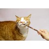 munchiecat Matatabi Silver Vine Sticks (with Organic Catnip | Natural,