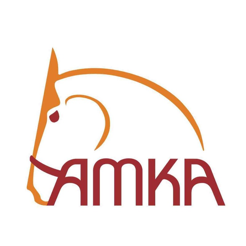 AMKA Bridle Holders, Bridle Hooks, Pack of 5, Wall Hooks,