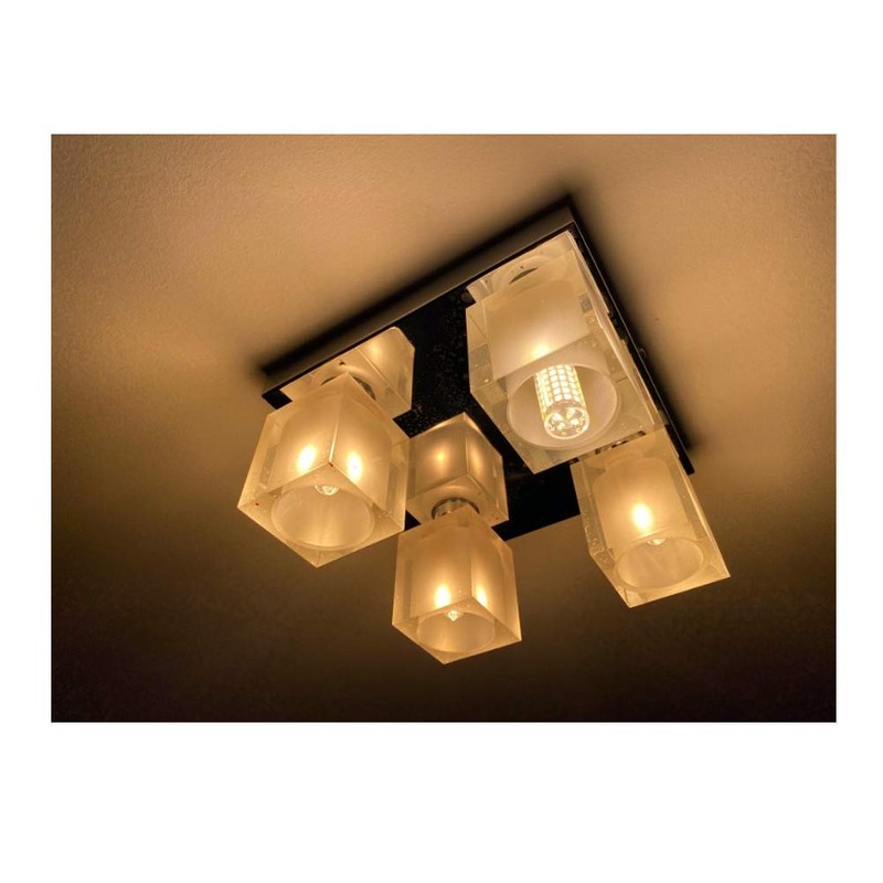 G9 Led Light Bulb,10W Dimmable Light Bulbs (100W Halogen Bulbs