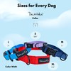ShawnCo Dream Walk Dog Collar- Premium, Adjustable and Comfortable Pet