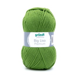 Gründl Big Lisa Premium Knitting & Crochet Yarn with Wool-like Character 100% Polyacrylic, 250 g/665 m, Needle Size: 3.5-4.5, 1 x 250 g, Green