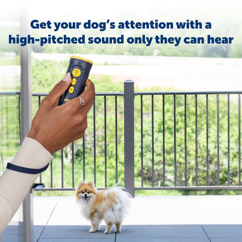 PetSafe Collarless Trainer – Ultrasonic Bark Deterrent – Handheld Anti