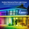 segrass 66FT Neon LED Rope Lights IP65 Waterproof LED Lights