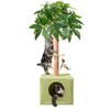 Cat Tree 33 inch Cat Scratching Post Cat Tower with