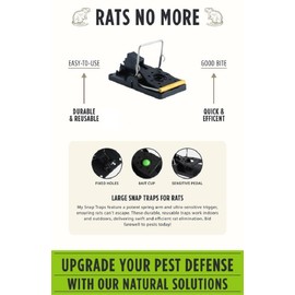 Grandpa Gus's Pest Control Large Snap Traps for Mice/Rats, Durable Plastic, Stainless Steel Powerful Spring Arm & Very Sensitive Trigger (Pack of 6)