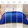 Whale Flotilla Fluffy Fleece Throw Blanket for Couch, Bed, Sofa,