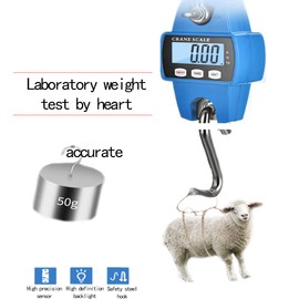 Hanging Weight Scale Industrial Heavy Duty for Farm, Hunting, Bow Draw Weight, Big Fish & Hoyer Lift with Accurate Sensor Digital, Professional (660LBS Blue)