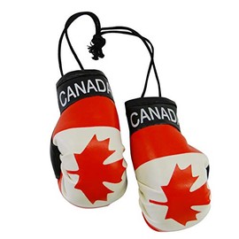 SUPERDAVVES SUPERSTORE Canada Country Flag Mini Boxing Gloves to Hang Over Your Automobile Mirror Canadian. New