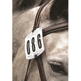 Shires Competition Number Kit in White Onesize