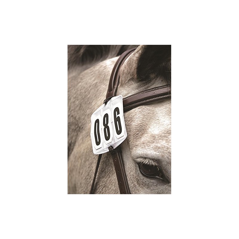 Shires Competition Number Kit in White Onesize