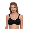 Susa Ladies’ Underwire-free bra, 7077 (Topsy) - Toffee Plain, size: