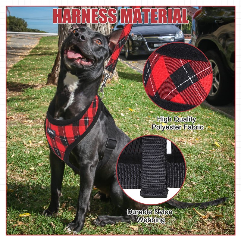 PUPTECK Dog Harness and Leash Set for Small Medium Dogs