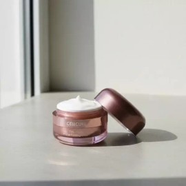Unknown 셀큐어 팔 알지디 프라임 퍼밍 크림 50ml Celcare Arm RG D Prime Firming Cream 50ml [Cream[GC990256]]