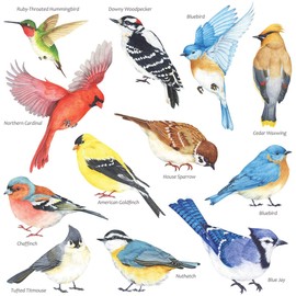 DECOWALL DS2-8042 Little Birds Kids Wall Stickers Decals Peel and Stick Removable for Nursery Bedroom Living Room art murals decorations decor repositionable bathroom kitchen toddlers girls baby