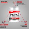 TESTROL. Creatina Platinum. Creatina, HMB y Beta Alanina. Rendimiento Deportivo