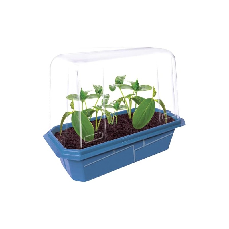 Unique Gardener Slicing Cucumber Plant Seeds Kit, Grow Healthy Tasty