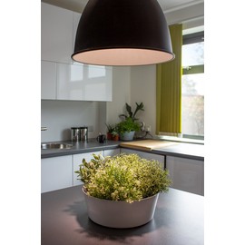 Skyline Grower 16w E27 Grow Light, Silver