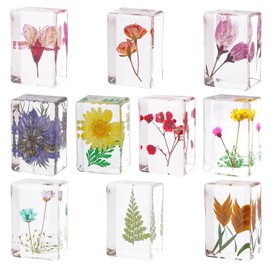 10 piezas de flores en resina para muestras de flores prensadas para pisapapeles de flores en resina, colección de muestras para computadora, muestras de flores reales, pesos de papel para