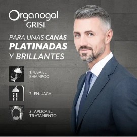 Grisi Organogal Silver Crema Abrillantadora De Canas 130ml                                                                                            