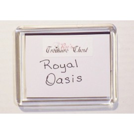 REFRIGERATOR MAGNET ROYAL CARIBBEAN OASIS  CRUISE SHIP - 3.5”x 3”