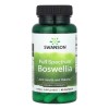 Full Spectrum Boswellia 60 Capsulas Swanson Sabor Sin Sabor