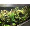 BEGONDIS Aquarium Decorations 3Pcs Fish Tank Artificial Green Water Plants