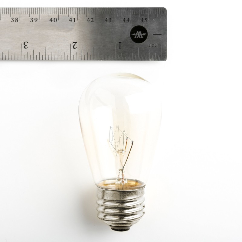 Hometown Evolution, Inc. (Box of 25) S14 Clear 11 Watt