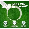 EHP Labs OxyGreens Daily Super Greens Powder, 30 Servings -