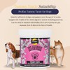 Proflax Natural - Tummy Tastic Supplement 700g - Dog Supplements