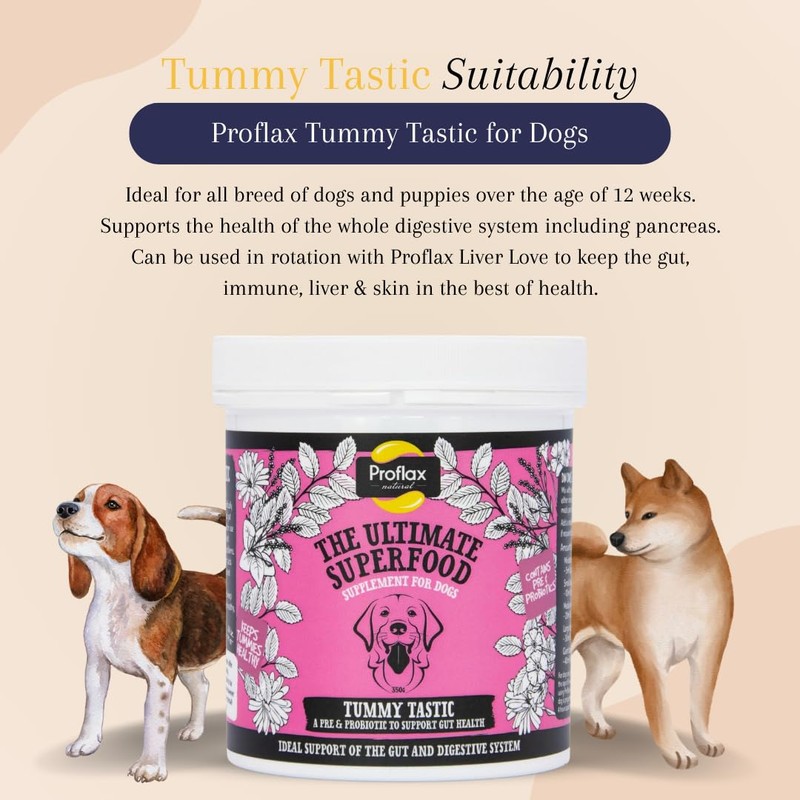 Proflax Natural - Tummy Tastic Supplement 700g - Dog Supplements
