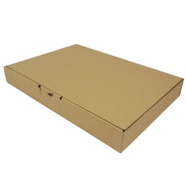 Maxibriefkarton 955016 Packaging Box / Post Box 350 mm x 250 mm x 50 mm
