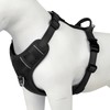 Plutus Pet No Pull Dog Harness, Reflective Adjustable Dog Vest