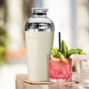 OGGI Groove Insulated Cocktail Shaker-17oz Double Wall Vacuum Insulated Stainless