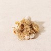 파뿌리 300g 300g of Green Onion Roots