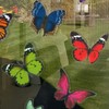 Imaggge.com - 20x - Butterflies - Repositionable Electrostatic Stickers -