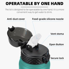 Fanhaw 1L Stainless Steel Insulated Sports Water Bottles with Straw Kids, Men and Women (Green Blue)