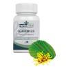 🌿💊 Suplemento de Hamamelis Virginiana (120 Cápsulas): Apoyo Natural para