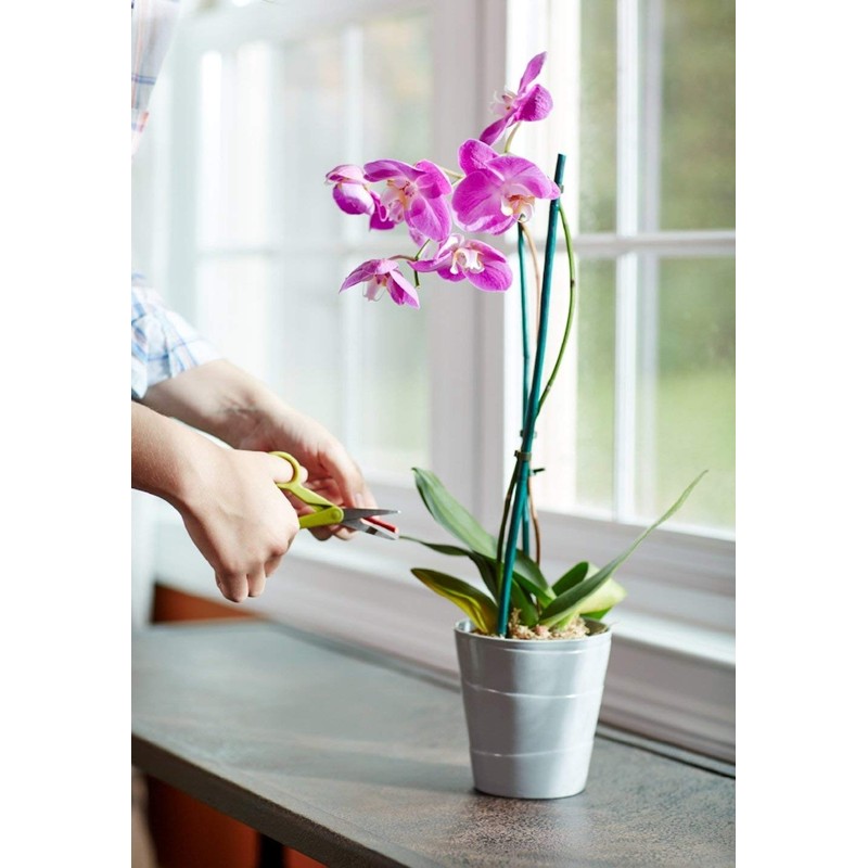 Miracle-Gro Orchid Plant Food Spikes (3)