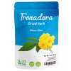 Tronadora Herb - Yellow Elder