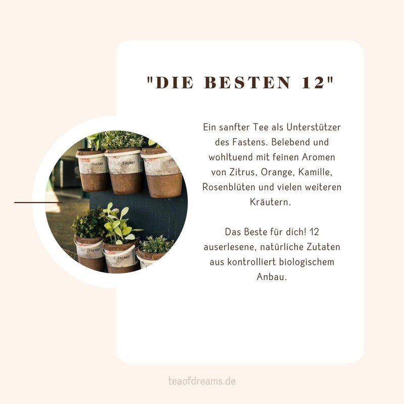 Organic Fasting Tea "The Best 12" Natural Herbal Tea Blend