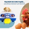 Borotto Real Incubator Egg Turner, Fully Automatic Extension for Incubator