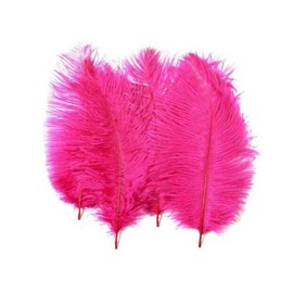 50PCS 15-20cm/6-8inch Colorful Real Natural Ostrich Feather Plume Stage Performance Props DIY Crafting Accessories for Party Home Wedding Centerpieces Party Festival Carnival Decoration(Hot Pink)