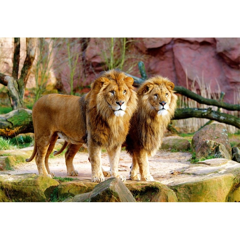 Trefl Lions Jigsaw Puzzle (1500 Piece)