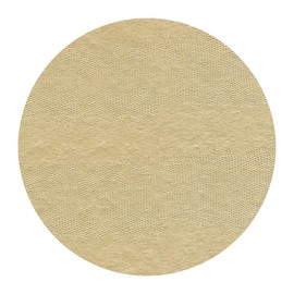 Caspari Platinum Lizard Felt-Backed Placemats - 1 Each